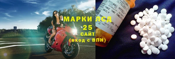 стаф Арсеньев