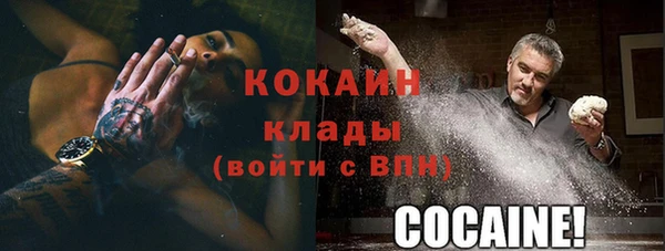 шишки Армянск