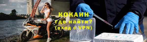 стаф Арсеньев