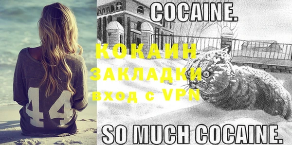 стаф Арсеньев