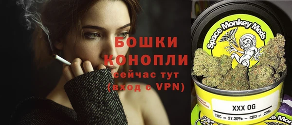 стаф Арсеньев