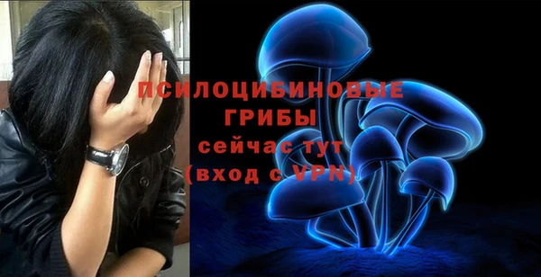 дурь Балабаново