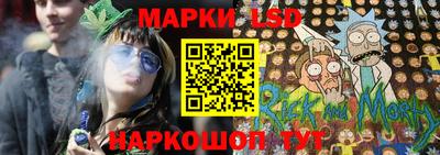 СК Новозыбков