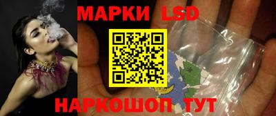 спиды Новодвинск