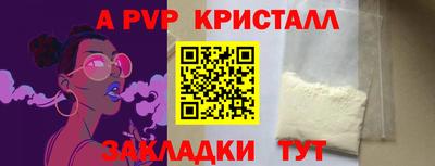 спиды Новодвинск