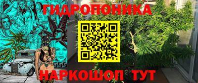 СК Новозыбков