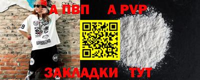 спиды Новодвинск