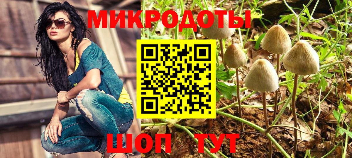 Спасск-Дальний  Псилоцибиновые грибы Magic Shrooms  Вход с VPN 